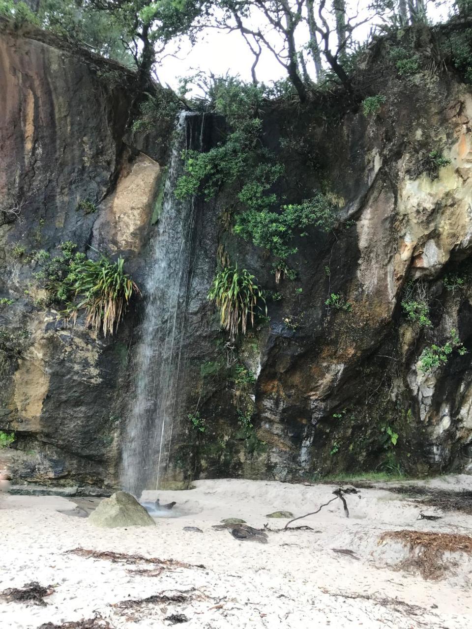 Hahei Retreat酒店 外观 照片