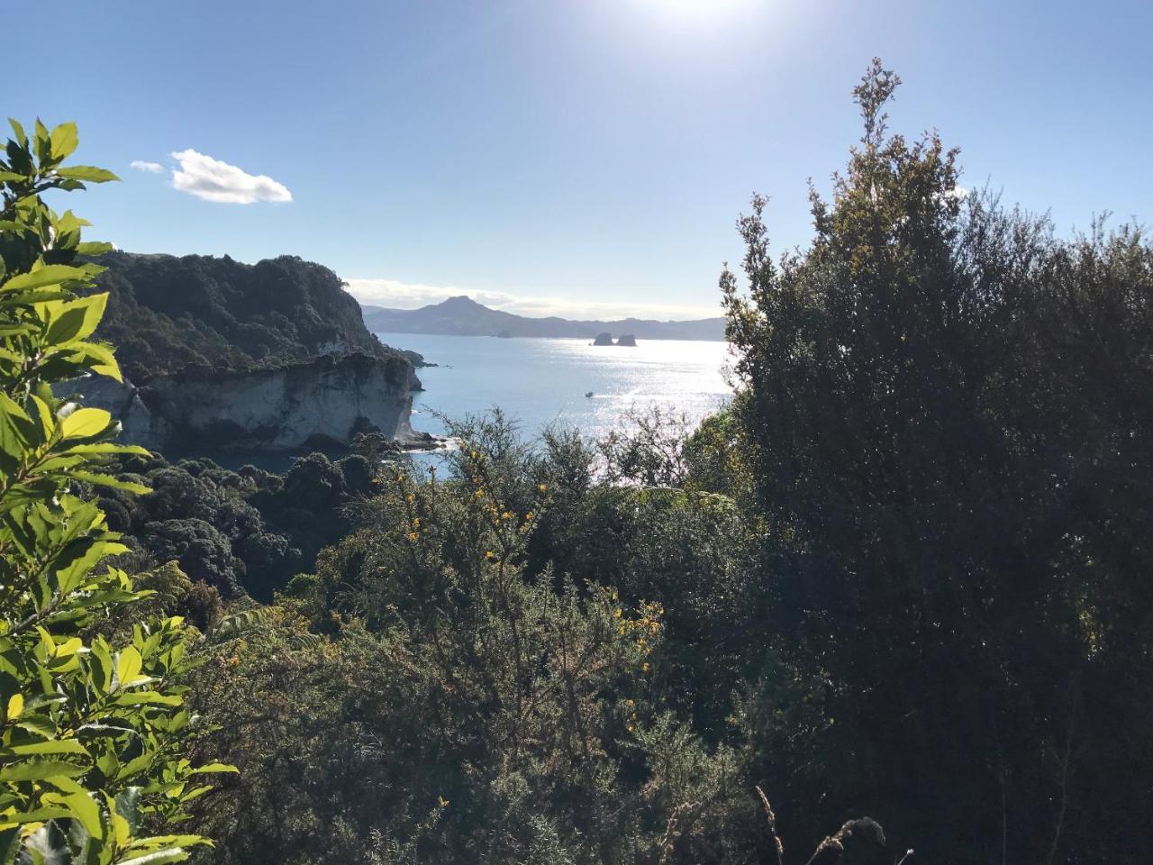 Hahei Retreat酒店 外观 照片
